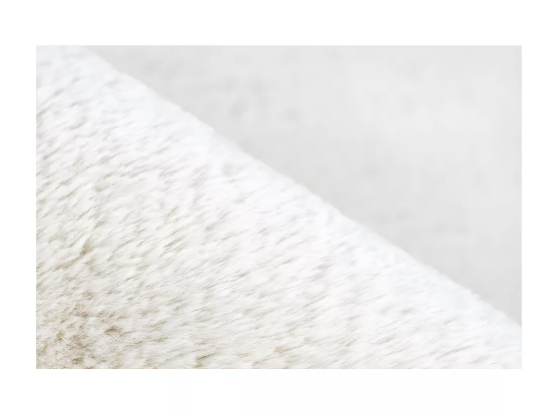 Tapis 290x200cm, design E005N coloris crème - Confort et élégance pour votre intérieur