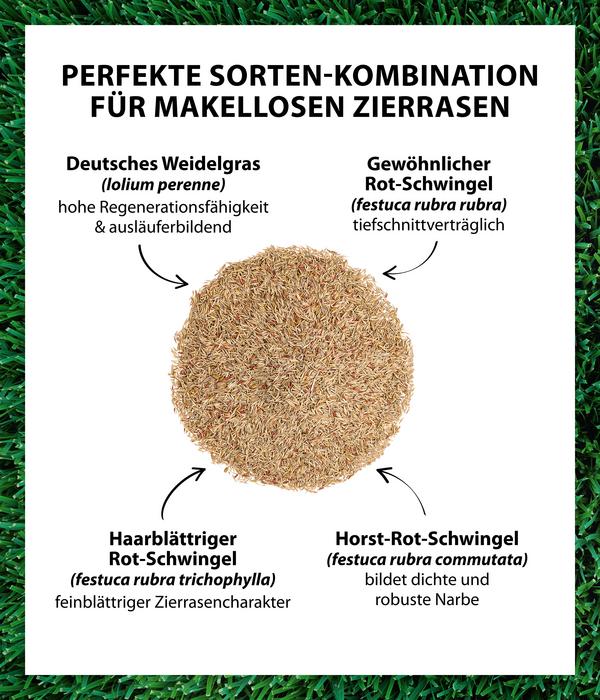Dehner Saatgut Traumrasen