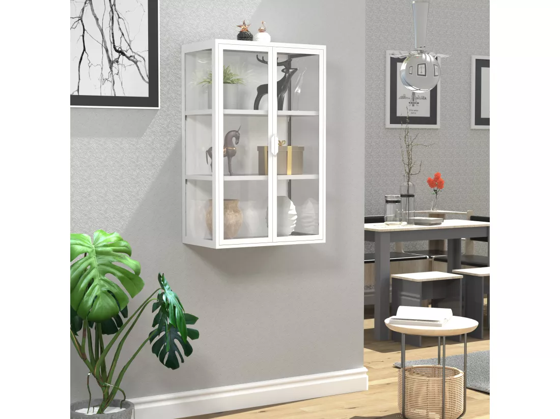 VCM acier vitrine murale vitrine suspendue vitrine en verre vitrine murale vitrine en verre 95x60x35 cm Floka L