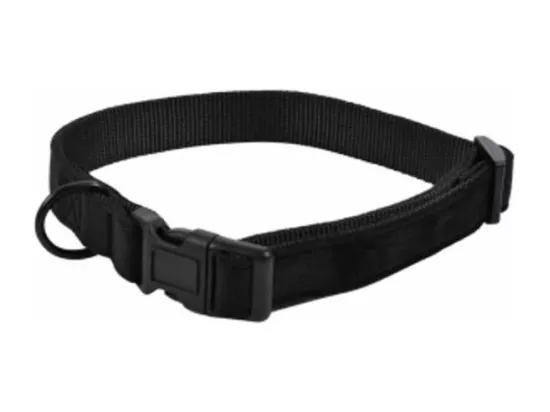 Collier pour Chien 