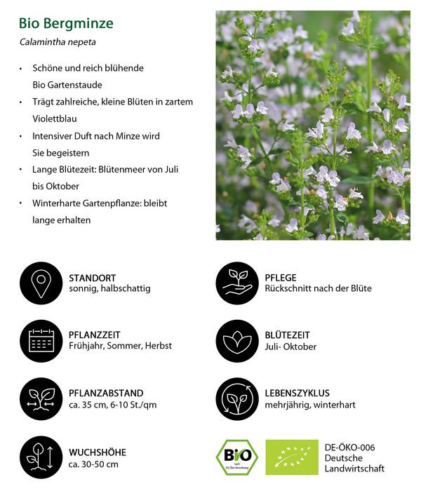 Bio Steinquendel