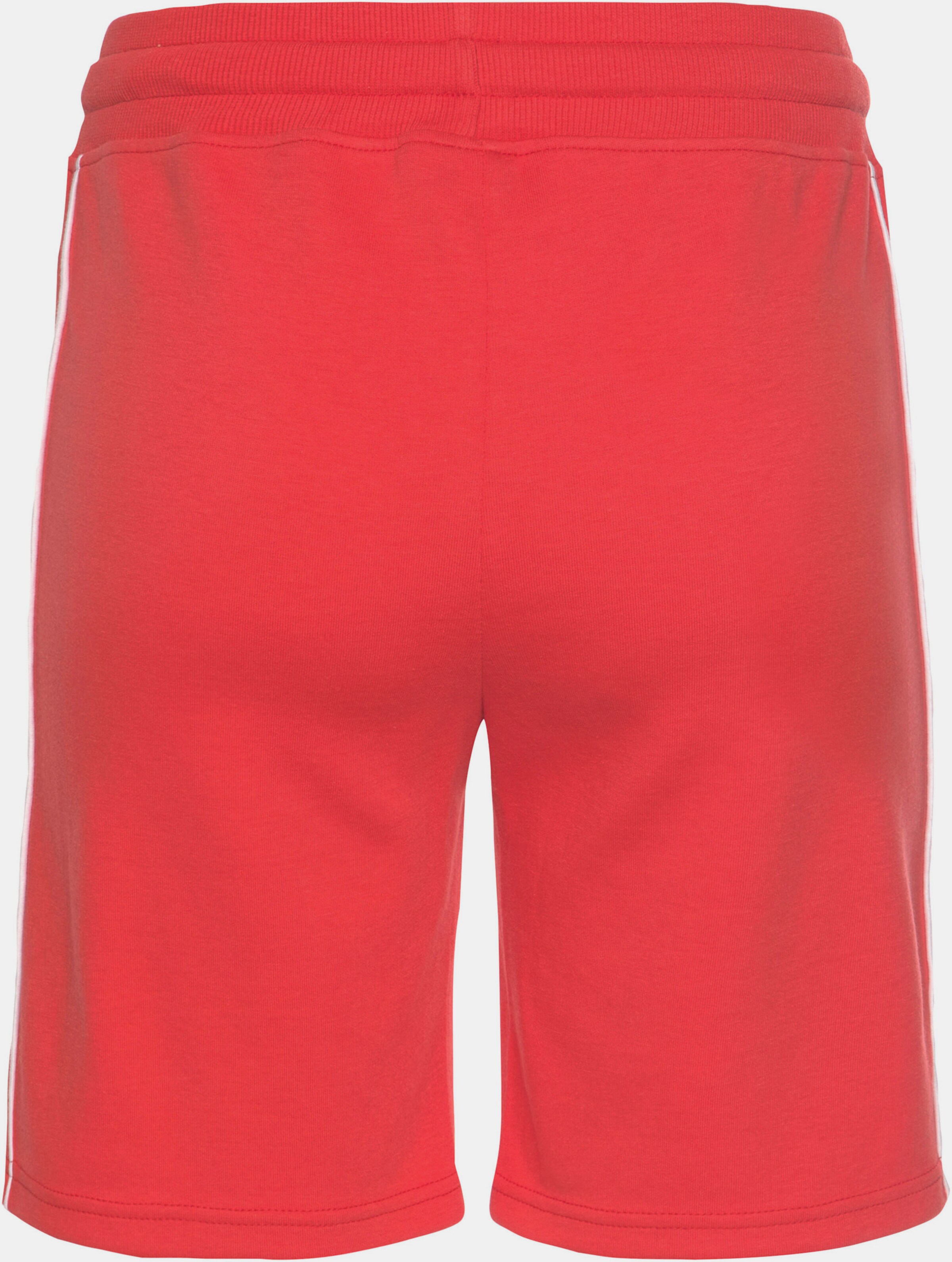 Bermudas