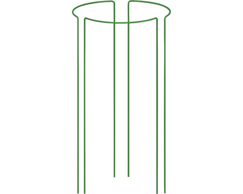 Plantensteun, set van 3, Wilk, 37 x 37 x 115 cm, groen