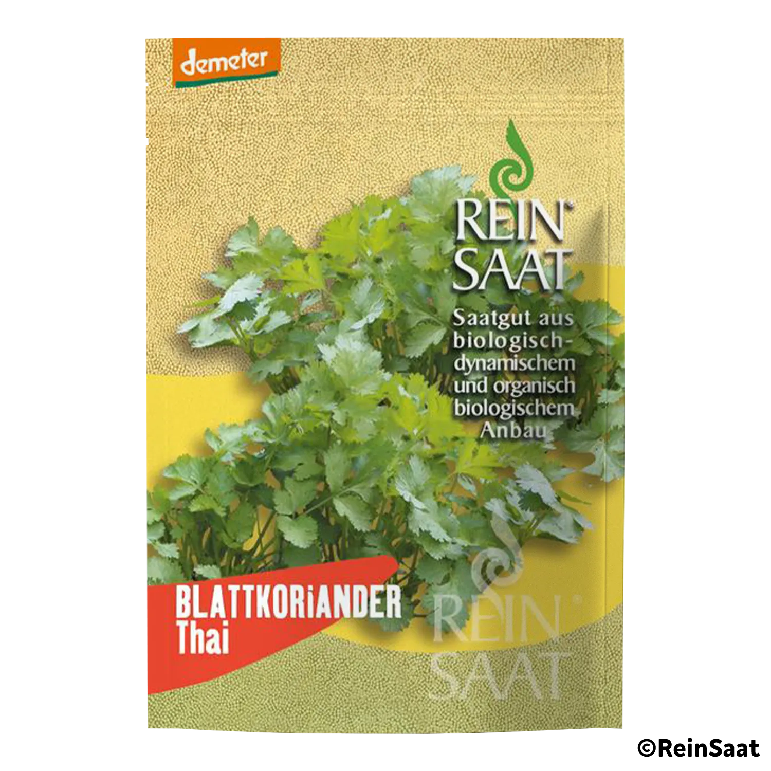 Saatgut Blattkoriander Thai