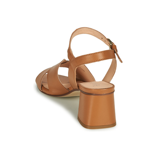 Fericelli - ONAPA - Camel