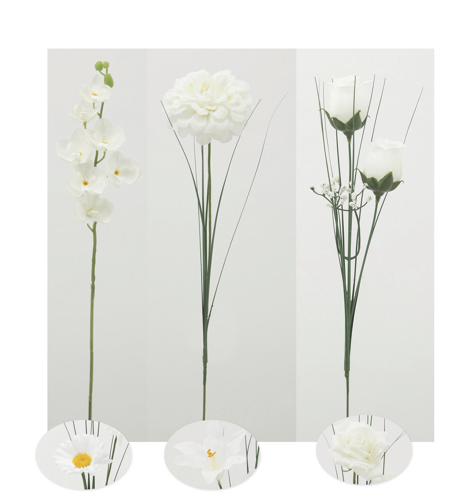 TIGE BLANCHES GERBERA ORCHIDEES ZINNIA ET ROSE
