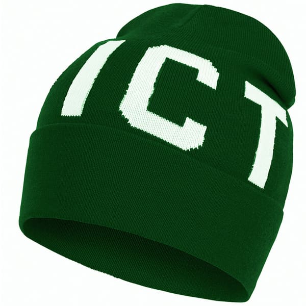 Bonnet Bandeau snowboard PICTURE IGOR BEANIE GREEN