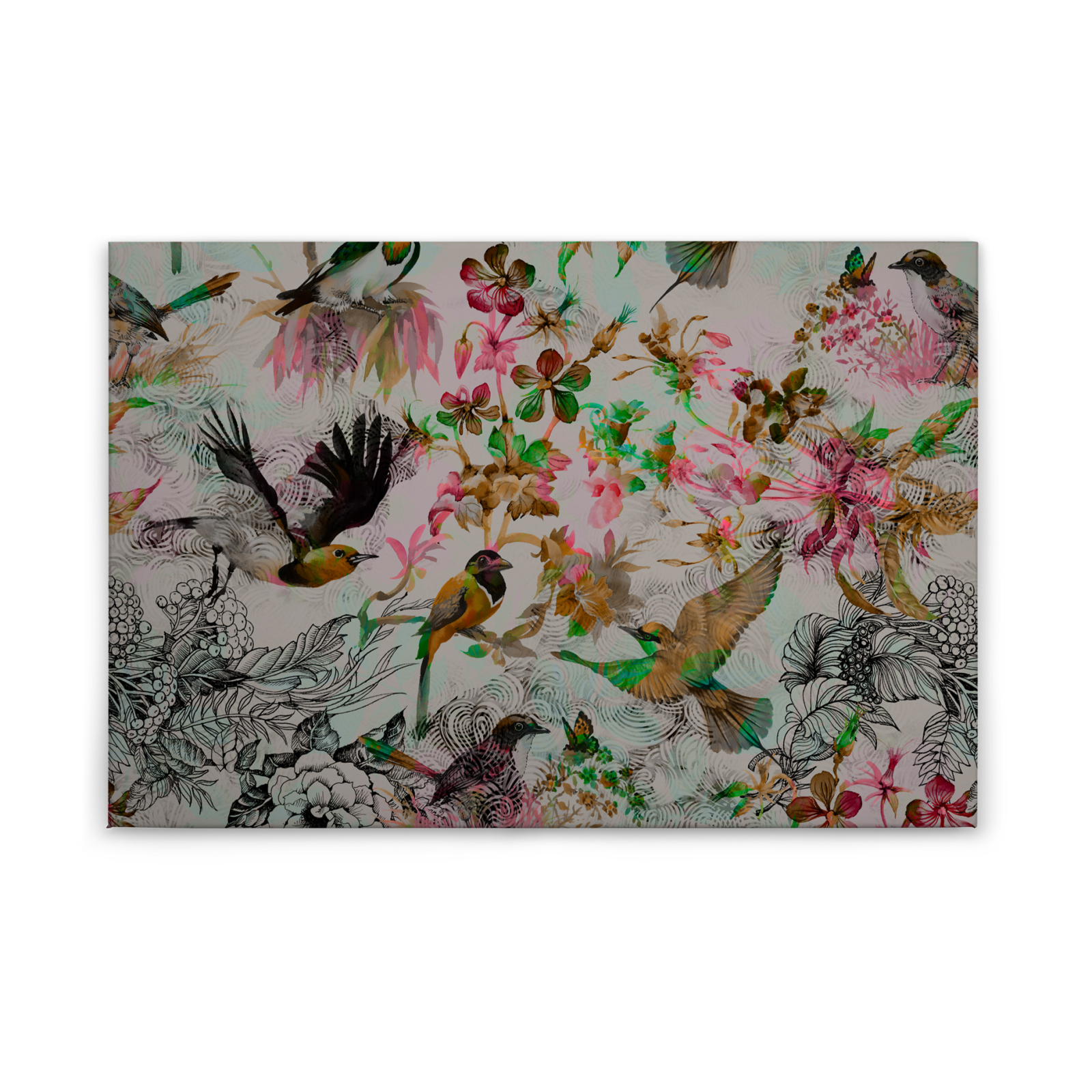Leinwandbild VÖGEL - grün-pink - 90x60 cm