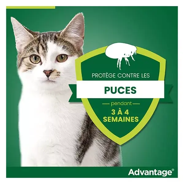 Advantage Solution - Tratamento antipulgas para gatos e coelhos (1-4kg) - 4 pipetas