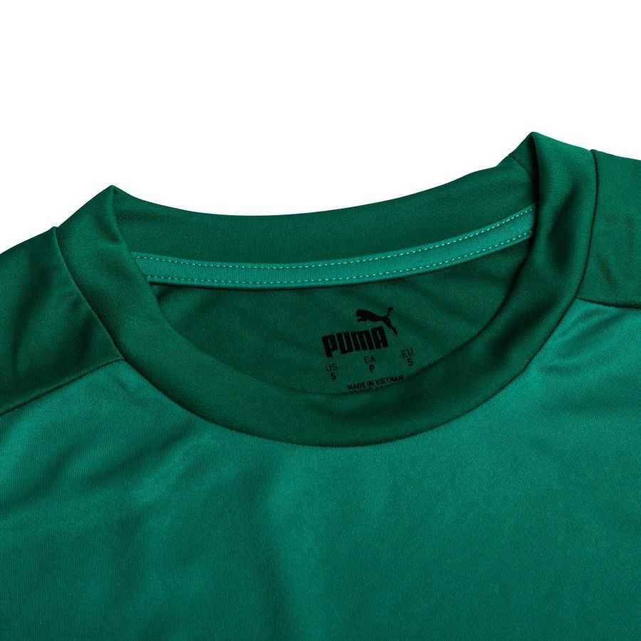 PUMA T-shirt d'Entraînement teamGOAL 23 - Vert/Vert