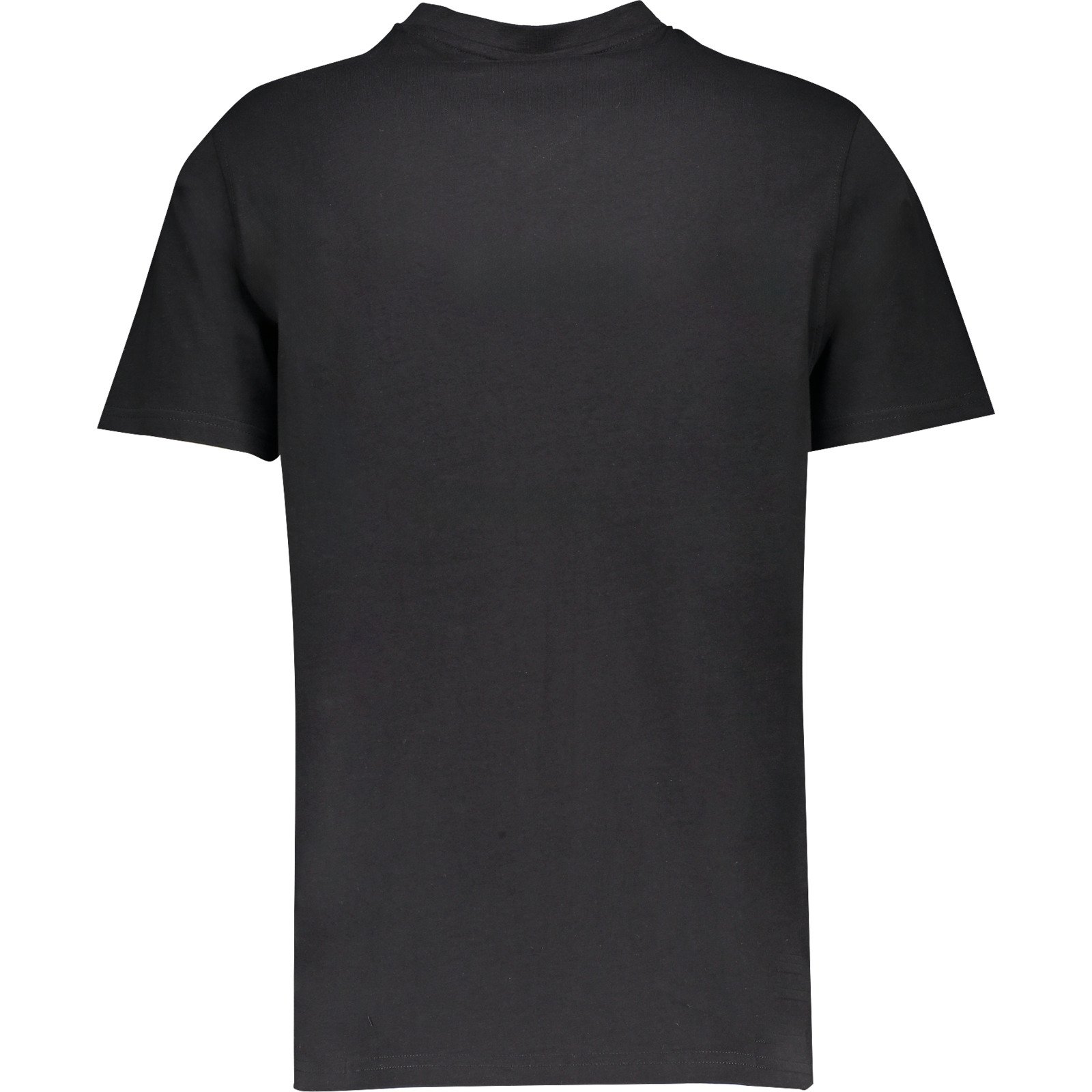 Herren-T-Shirt Bio mit V-Ausschnitt, schwarz