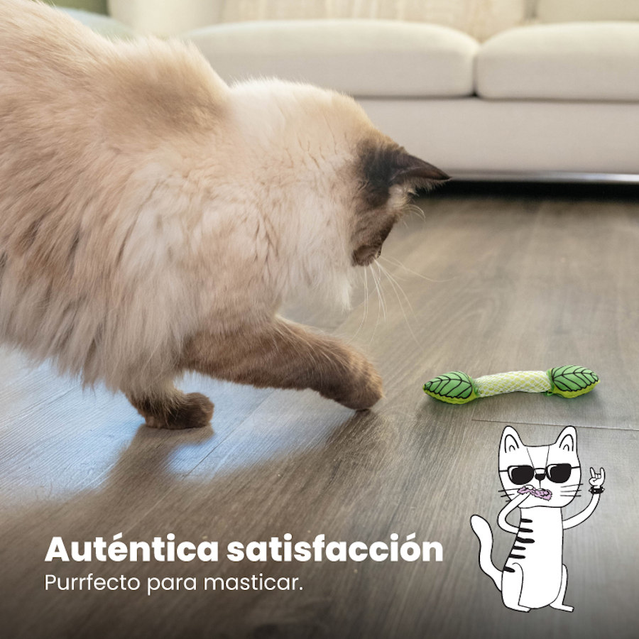 Outward Hound Catstages Bastão de Pelúcia com Hortelã para Hálito Fresco - Brinquedo Dental para Gatos