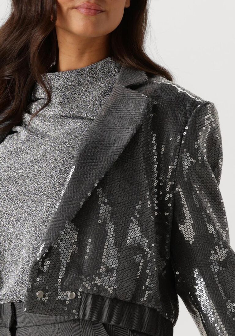 grijze aaiko blazer mille sequins pes 356