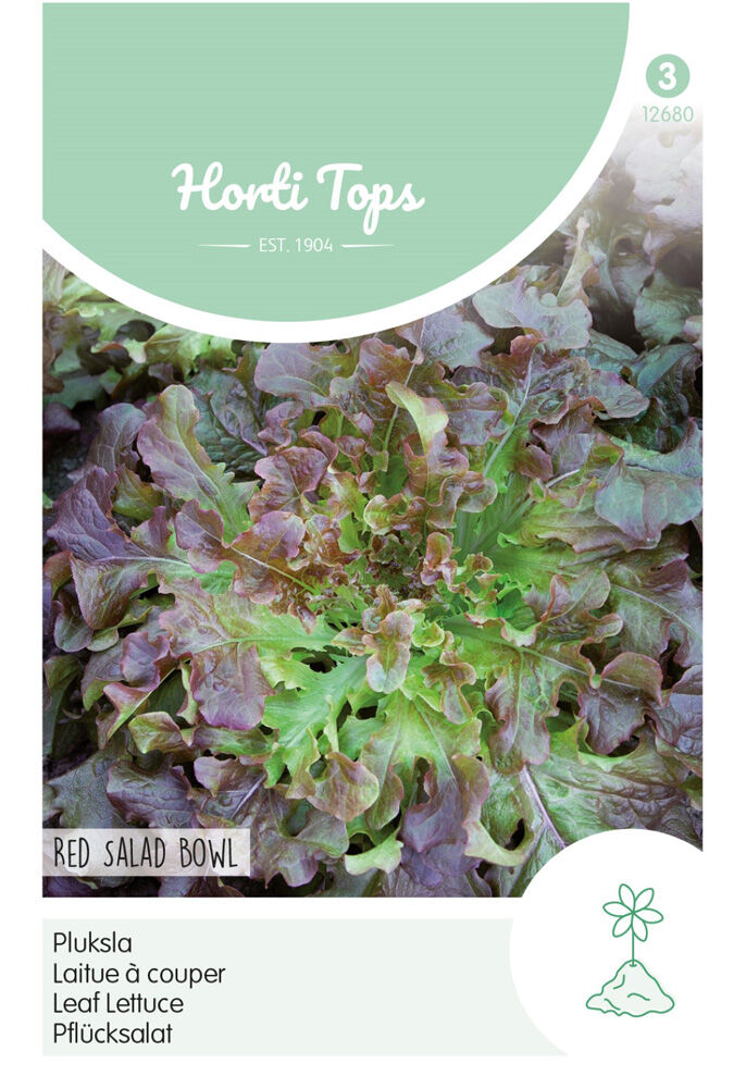 Hortitops Eikenbladsla Lactuca sativa Red Salad Bowl - Sla