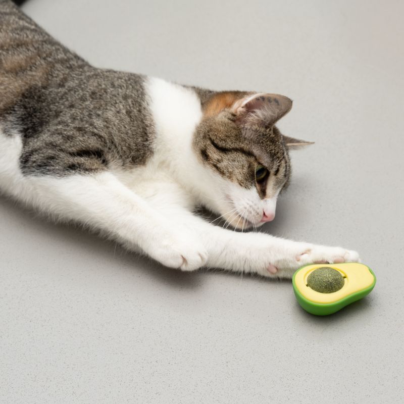 Jouet TIAKI Avocat avec balle de menthe à chat