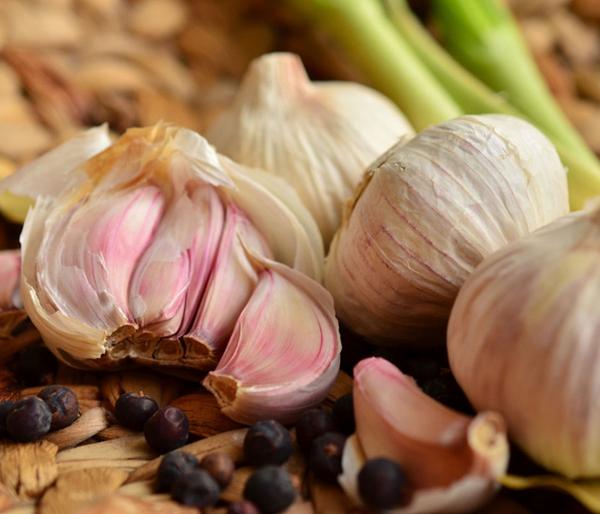 Knoblauch, 6er Schale