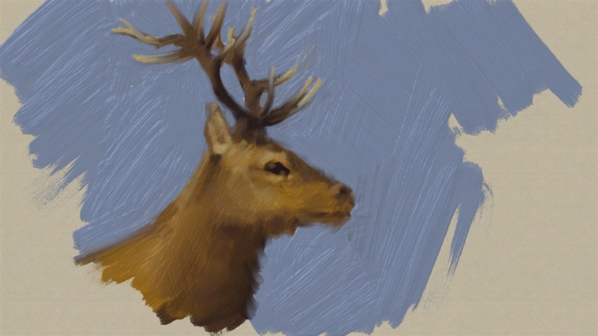 Art Academy - Atellier- Wii U