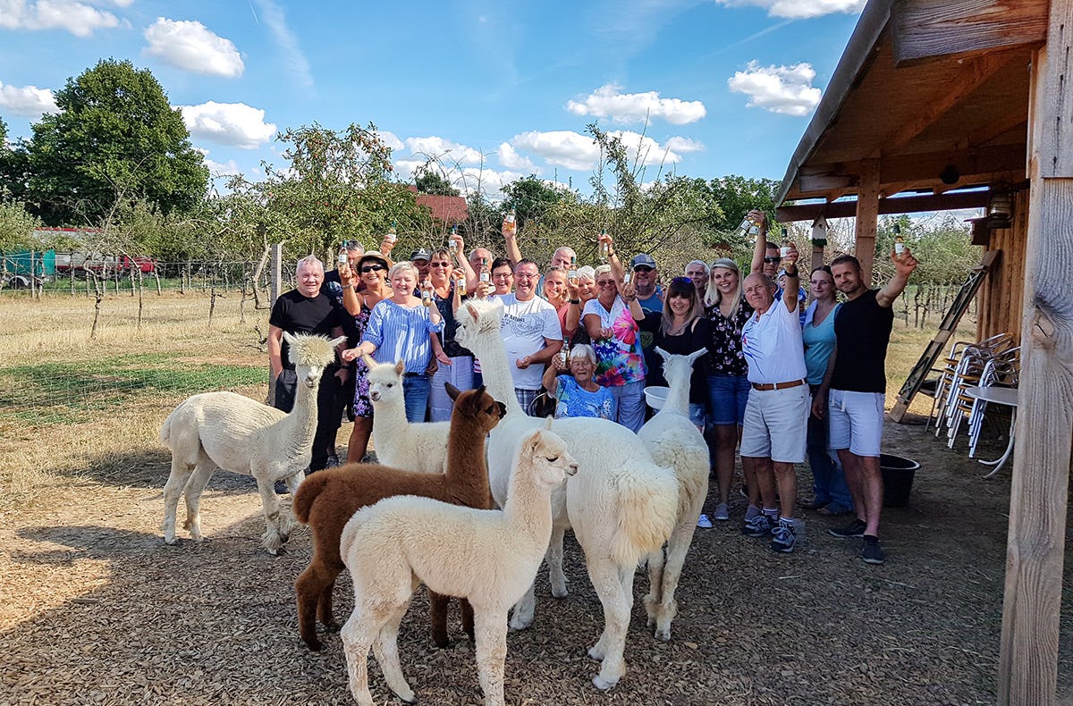 Weinprobe auf der Alpakaweide
