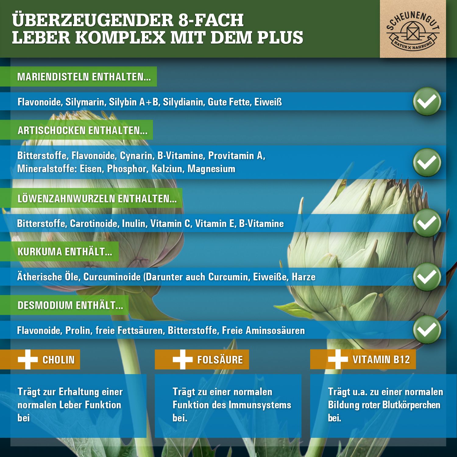 Scheunengut® LEBER INTENSO+ | Extra starker Leber Komplex mit Cholin