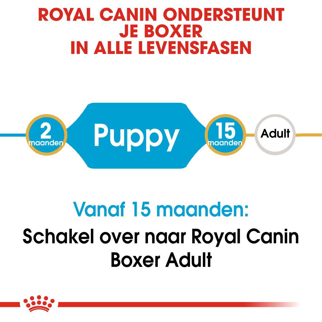 Royal Canin Boxer Junior - Hondenvoer - 3 Kilogram - gevogelte