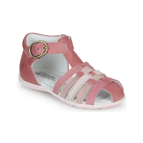 Citrouille et Compagnie - RINE - Rose / Multicolore