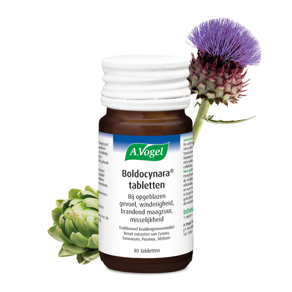 A.Vogel Boldocynara 80 tabletten