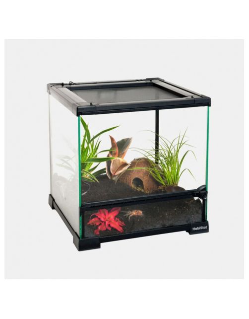 Habistat Glazen Terrarium - Terraria - 30x30x32 cm