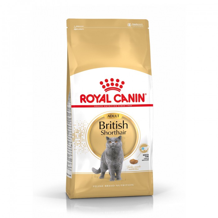 Royal Canin British Shorthair Adult