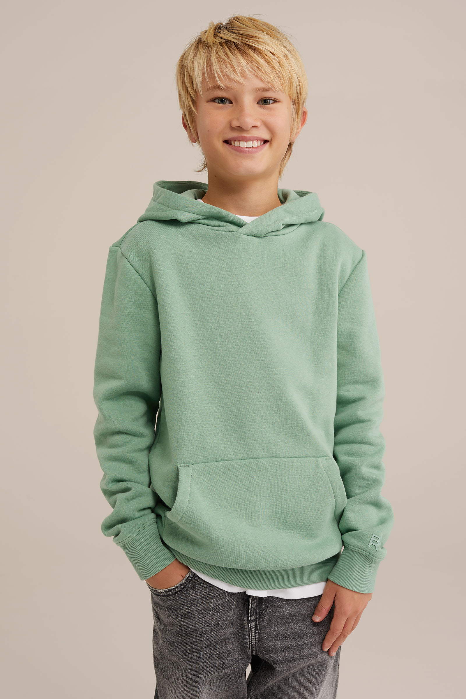 Unisex hoodie Blue Ridge Pastelgroen