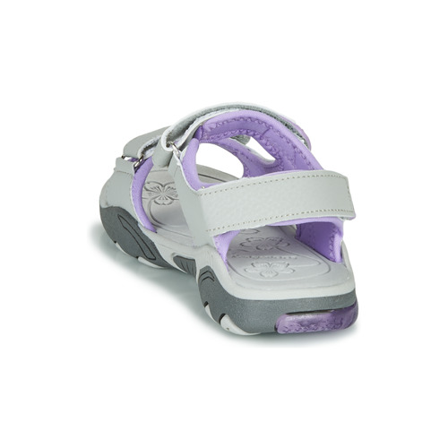 Kangaroos - Sandalshine - Gris / Violet