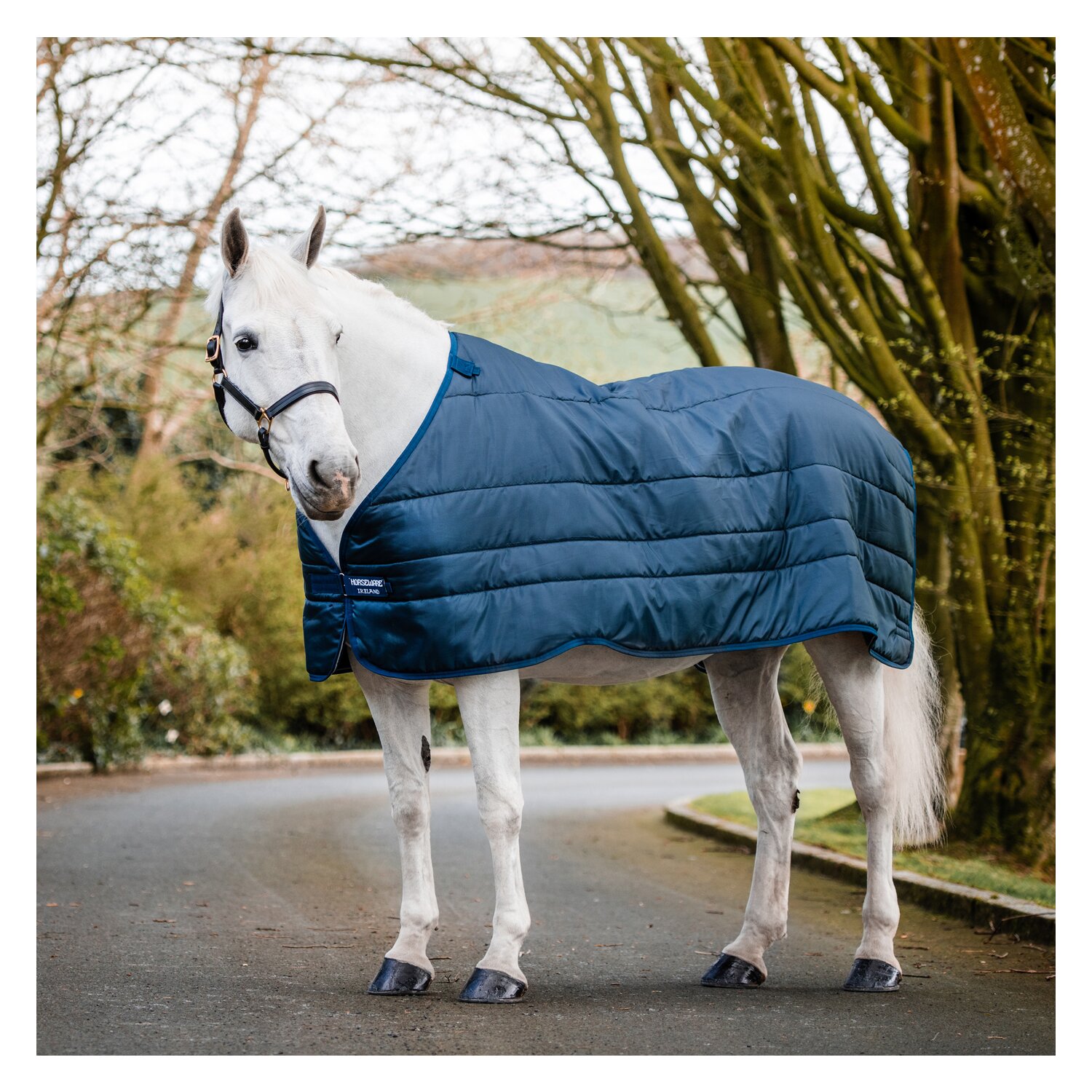 HORSEWARE Unterdecke XL-Liner 200 g - navy