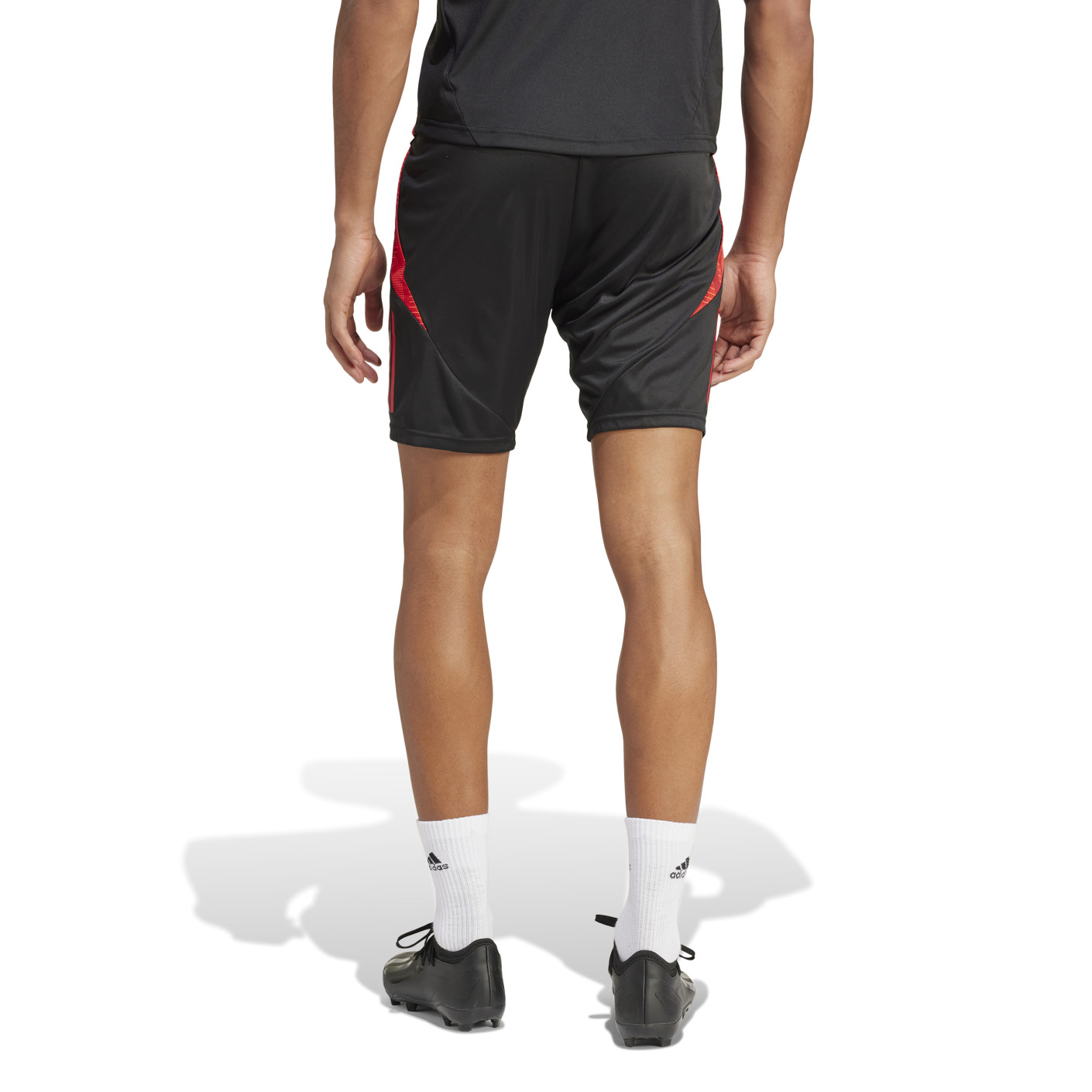 adidas België Trainingsset 2024-2026 Zwart Rood Goud