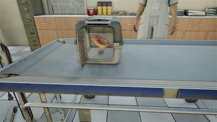 Animal Doctor- PlayStation 4
