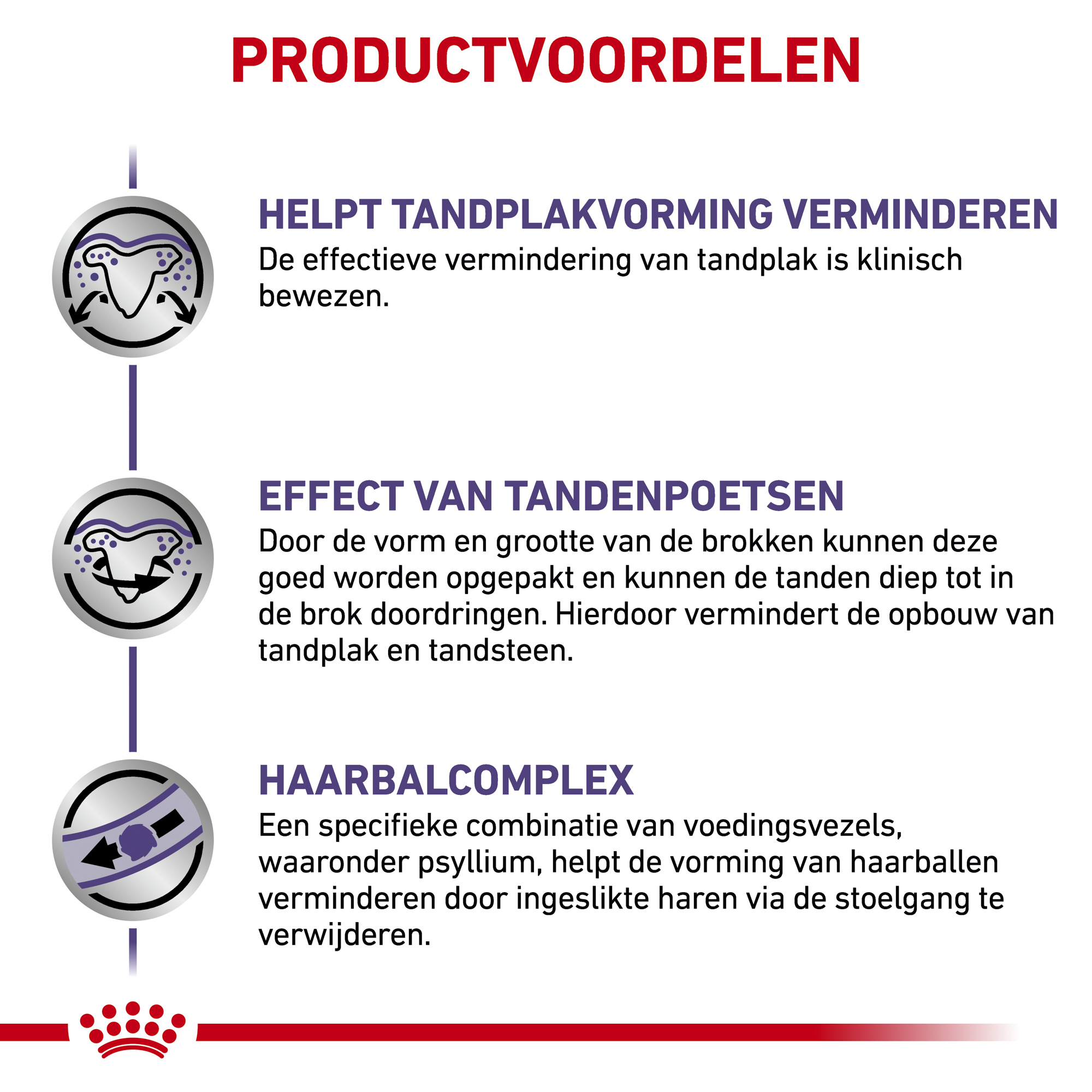 Royal Canin Dental Kat