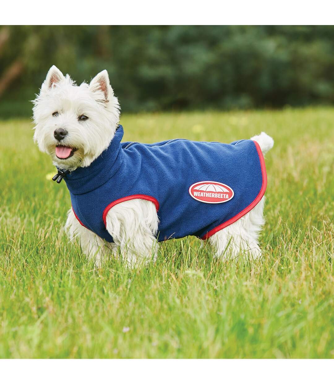Weatherbeeta - Veste pour chiens COMFITEC (Bleu marine / Rouge) (25 cm) - UTWB1586