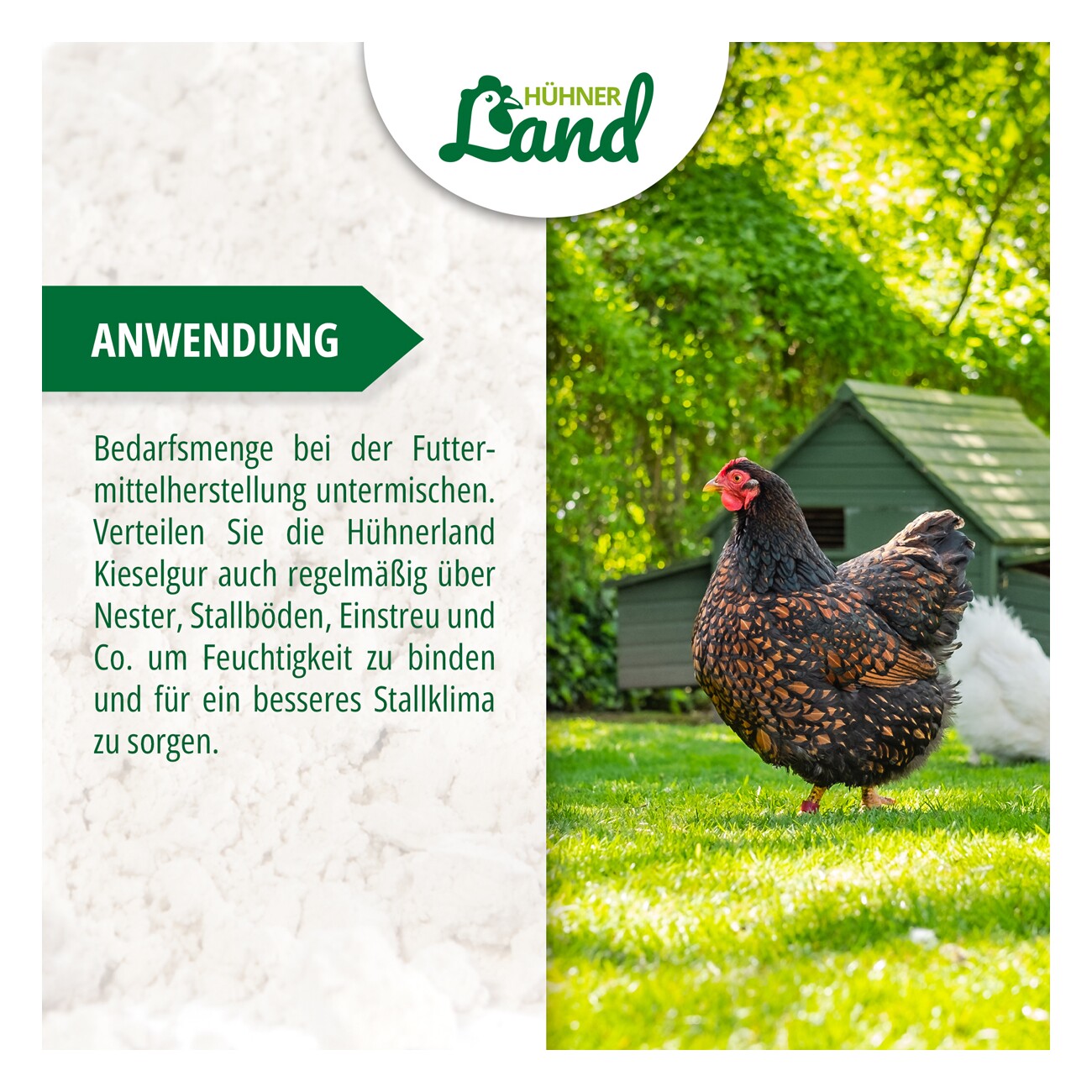 HÜHNER Land Natürliche Kieselgur 1kg