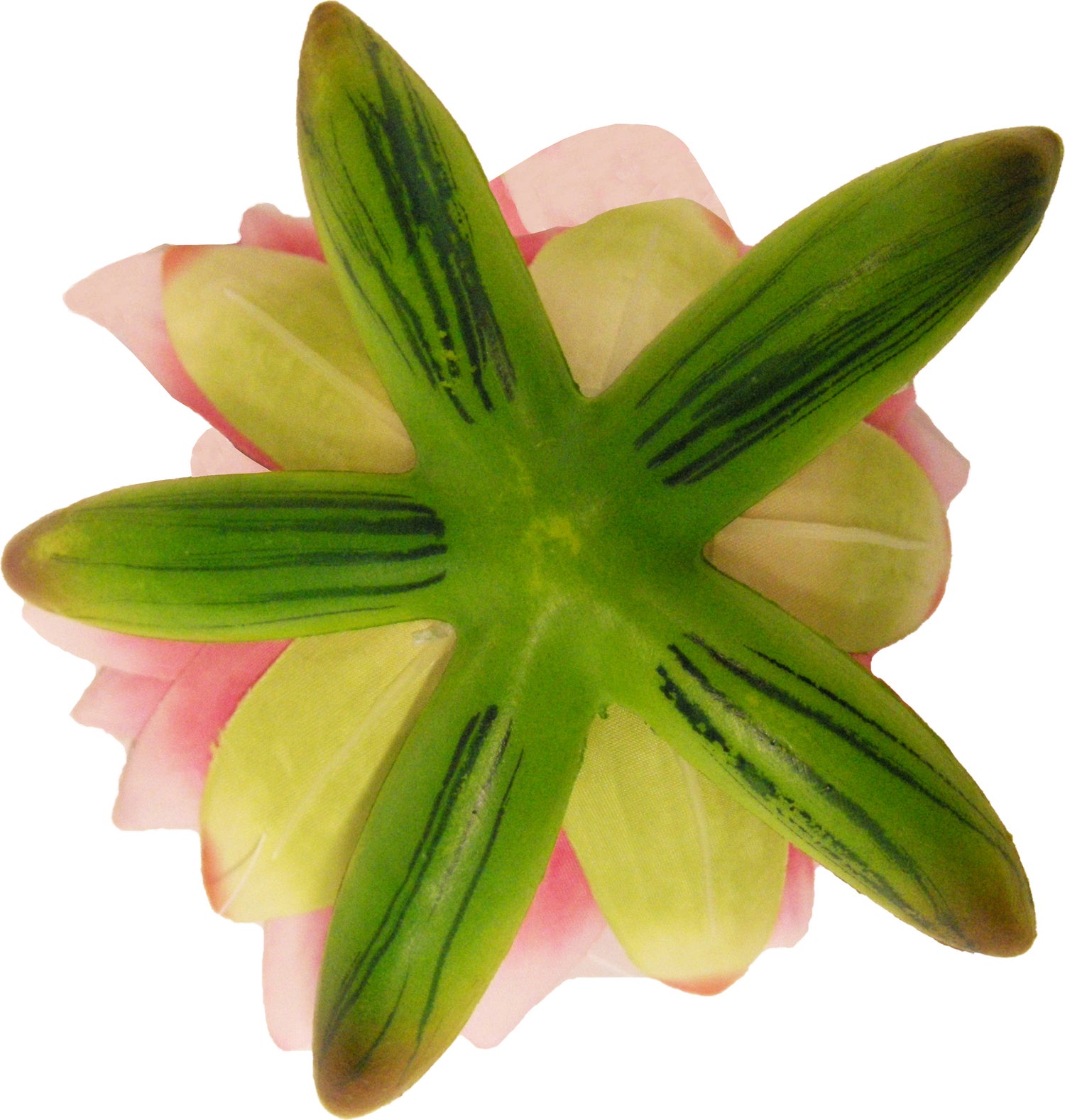 Ubbink drijfbloem waterlelie roze D 16 H 7,5 cm