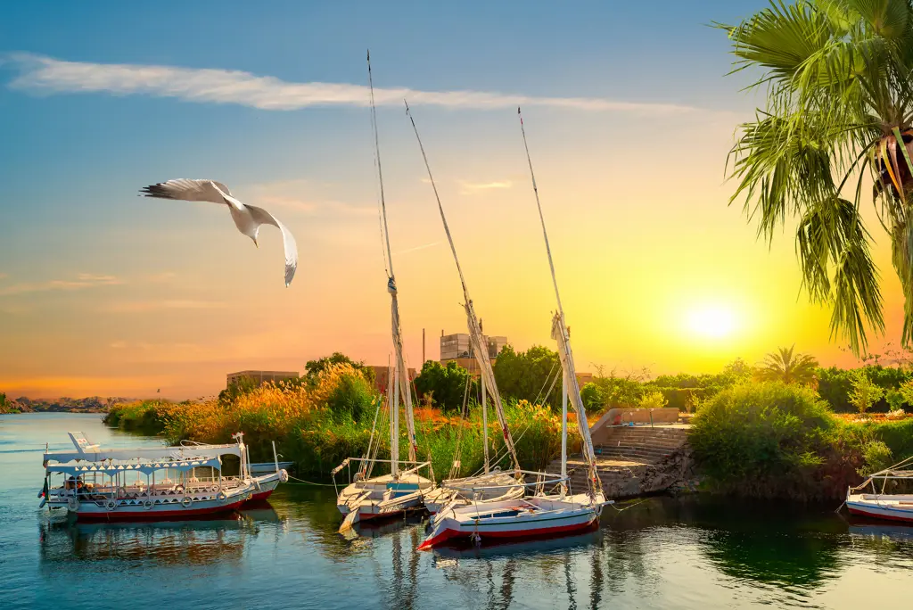 Nijlcruise 5* & Caves Beach Resort 5* Zie beschrijving