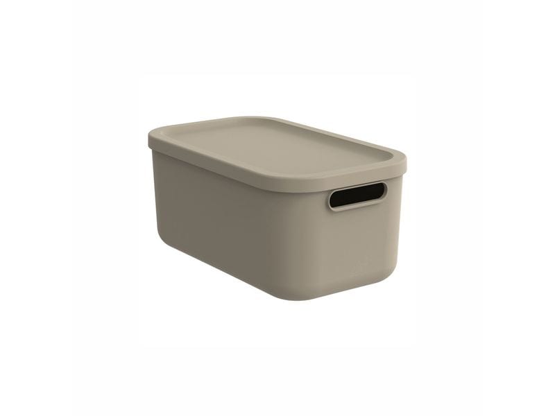 Rotho Babydesign Spielzeugbox KAYO S Cappuccino Multi Box für ein schönes Ambiente im Kinderzimmer