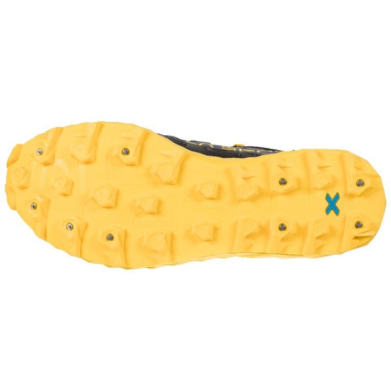 Blizzard GTX - Chaussures trail homme
