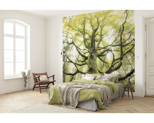Vliesbehang SHX6-020 De Droomboom 6-delige set 300 x 280 cm
