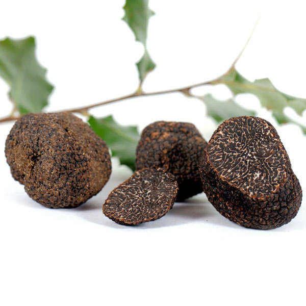 Morceaux de truffes noires fraîches de Lozère - Tuber Melanosporum