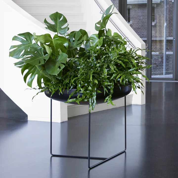 Konstantin Slawinski - Plantbowl Outdoor Ø 75 cm, weiss
