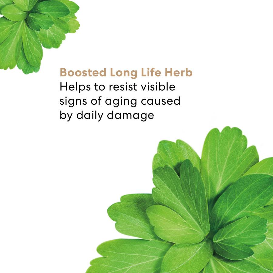 BareMinerals Skinlongevity Long Life Herb Night Treatment 50g