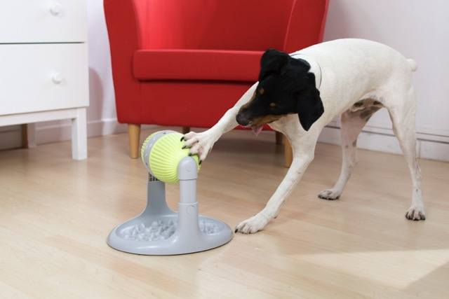 2in1 Pet Slow Feeder Strategiespiel Haustier Futter Spender Intelligenz Spielzeug Leckerli Automat für Hunde / Katzen (VMAVACIND0002)