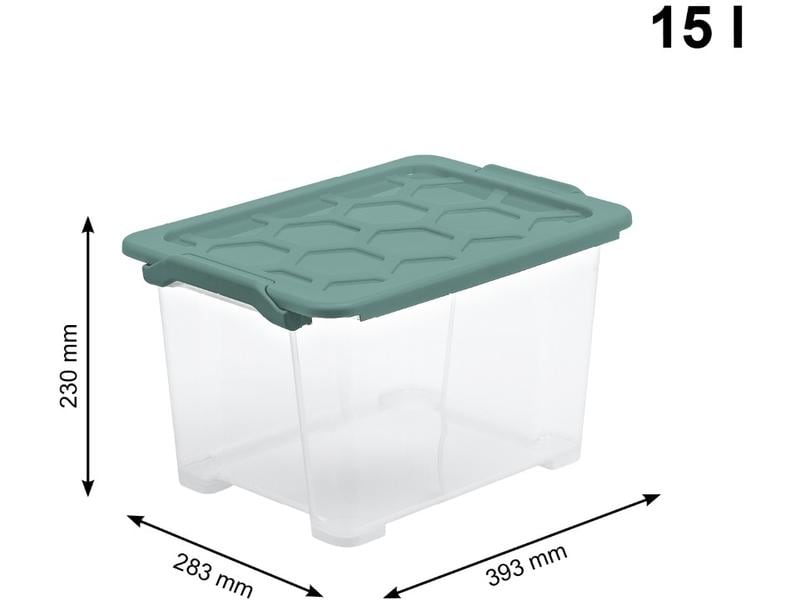Rotho Aufbewahrungsbox Evo Safe 15 l, Grün/Transparent Box mit Deckel