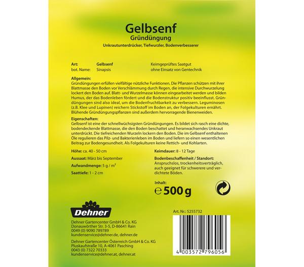 Dehner Gründüngung Gelbsenf