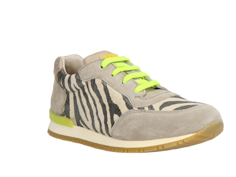 Clic! 8190 Multi color