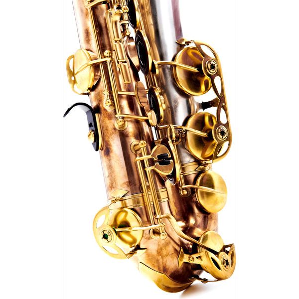Rampone & Cazzani Two Voices Tenor Sax BRS