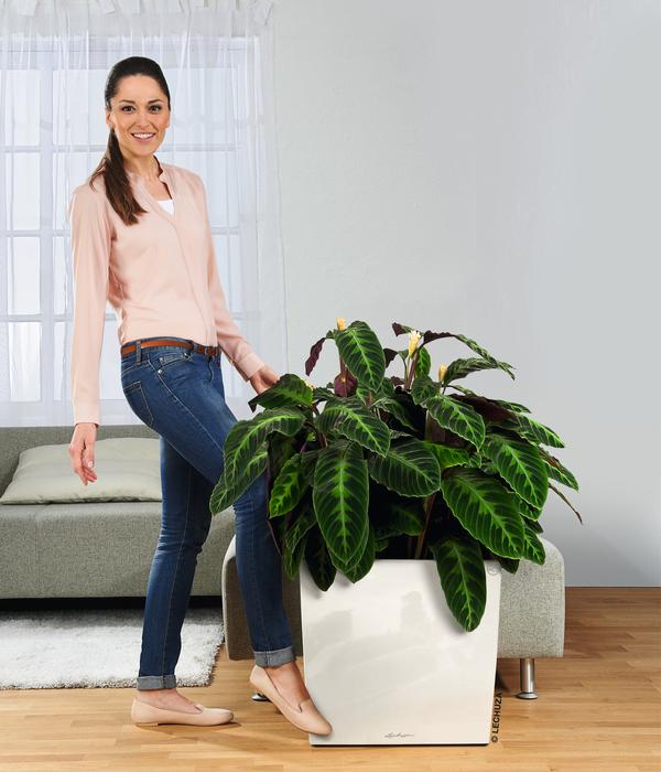LECHUZA® Rolluntersetzer für CLASSICO/QUADRO